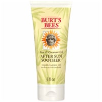 Burt's Bees Natural Beeswax Hand Salve