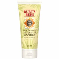 Burt's Bees Natural Beeswax Hand Salve