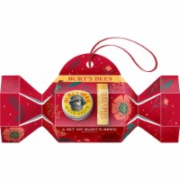 Burt's Bees Lip Balm and Hand Salve Gift Set Perspective: Main