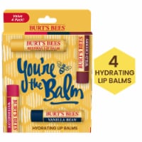 Burt's Bees You're the Balm Moisturizing Lip Balm Pack Perspective: Main
