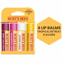 Burt's Bees Flavored Moisturizing Lip Balm Pack Perspective: Main