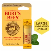 Burt's Bees Beeswax Moisturizing Lip Balm Perspective: Main