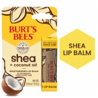 Burts Bees Shea + Coconut Oil Moisturizing Lip Balm Perspective: Main