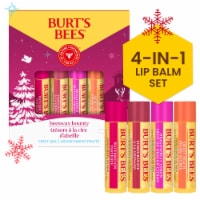 Burt's Bees Non-Tinted Beeswax Bounty Fruit Mix Lip Balm Gift Set