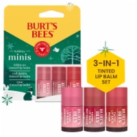 Burts Bees Holiday Minis Tinted Lip Balm Gift Set Hibiscus Red Dahlia Rose Perspective: Main