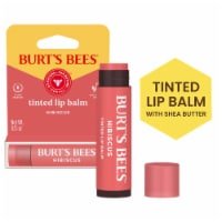 Burt's Bees Tinted Lip Balm Hibiscus Perspective: Main