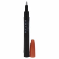 Burts Bees Moisturizing Caramel Cloud Tinted Lip Oil