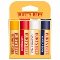 Burt's Bees Flavored Moisturizing Lip Balm Pack Perspective: Main