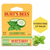 Burt's Bees Natural Origin Cucumber Mint Lip Balm