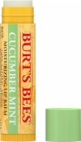 Burt's Bees Cucumber Mint Moisturizing Lip Balm