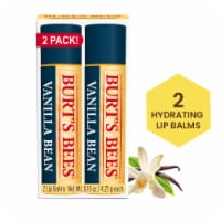 Burt's Bees Moisturizing Vanilla Bean Lip Balm