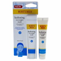 Burt's Bees Hydrating Overnight Mask