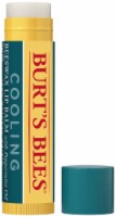 Burt's Bees Cooling Peppermint Oil Beeswax Lip Balm