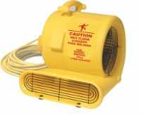BISSELL COMMERCIAL AIR MOVER AM10D