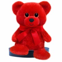 Mayflower 79759 6 in. Rainbow Bear Plush - Red