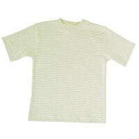 Organic Cotton Tees Short Sleeve - Sage Stripe 2-4 year