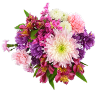Island Vibes Fresh Flowers Bouquet Perspective: Main