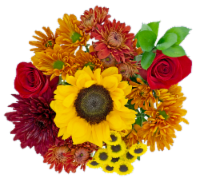 Golden Ray Fresh Flower Bouquet Perspective: Main