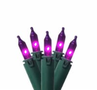 GKI/Bethlehem Lighting 100-Count Purple Commercial Grade Mini Christmas Light Set, 45.5ft