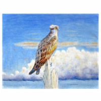 Betsy Drake PM1109 Osprey Storm Place Mat - Set of 4