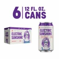 Avery Brewing Co. Electric Sunshine Fruited Tart Ale