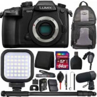 Panasonic Lumix Dc-gh5 Mirrorless Digital Camera (body Only) Accessory Bundle