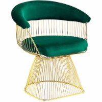 Best Master Furniture Gary 20  Velvet Fabric Accent Chair in Green/Gold Plated