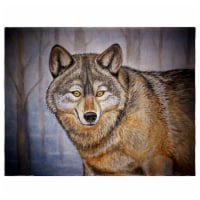 Betsy Drake PM315 14 x 18 in. Gray Wolf Place Mat - Set of 4 Perspective: Main