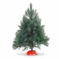 Dutchman Tree Farms Scotch Pine Tabletop Fresh 3-4 Foot Christmas Tree With Stand Perspective: Main