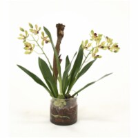 Distinctive Designs International   Waterlook Amethyst Green Vanda Orchid With Plant In Glass