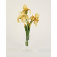 Waterlook Light Yellow Bearded Iris In Footed Glass Vase