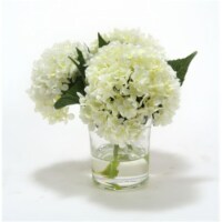 Waterlook White Hydrangeas in Glass Cylinder