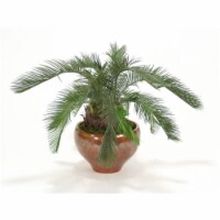 Cycas Palm Plant in Autumn Red Ceramic Planter