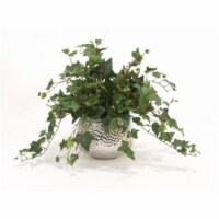 Mountain Ivory in Silver Super Nova Bowl
