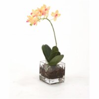 Waterlook Mini Rose Pink Phalaenopsis Orchid in Glass Cube - Pack of 2