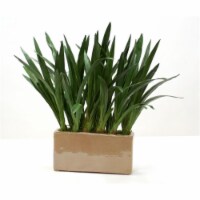 Orchid Foliage in Mocha Leather Finish Rectangular Stone Planter