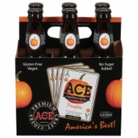 Ace Pumpkin Hard Cider Perspective: Main
