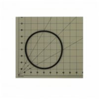 WOR-FF WATTS-WOR-FF Watts O-Ring for Full Flow Housings - Black
