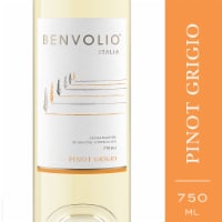 Benvolio Friuli Pinot Grigio Italian White Wine Perspective: Main