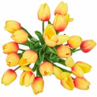 Fresh Cut Rainbow Tulips - 20 Stems Perspective: Main