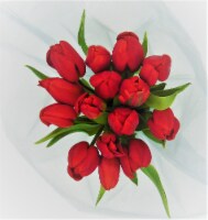Fresh Cut Tulips Perspective: Main