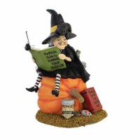 Halloween How To Train Your Black Cat Polyresin Witch Pumpkin Cat Nip Td1203