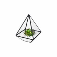 Bambeco Glass/Metal Pyramid Terrarium with Succulents Perspective: Main