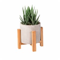 Bambeco Succulent with Wood Stand Perspective: Main