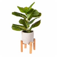 Bambeco Fiddle Tree with Wood Stand Perspective: Main