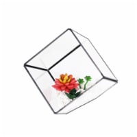Bambeco Glass/Metal Square Terrarium with Succulents Perspective: Main