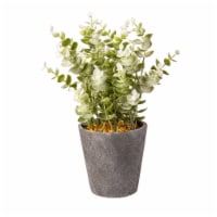 Bambeco Tall Eucalyptus in Planter Perspective: Main