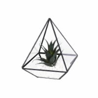 Bambeco Glass/Metal Pyramid Terrarium with Succulents Perspective: Main
