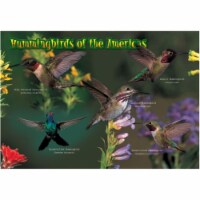 Impact Photographics IMP52116KZ Kids Puzzle Hummingbirds