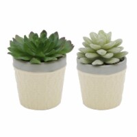 Flora Bunda CS1859E2-YL SET OF 2 SUCC DRESS ICECRAM YELLOW POT